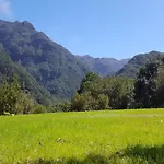 Nature Retreat - Laurel Forest