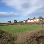 Amor De Crianca