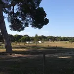 Beach Falésia Alfamar