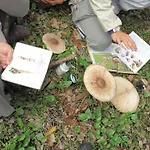 The Nest By Cooking And Nature