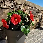 Jardim das Oliveiras - Suítes com Vista