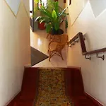 Marazul