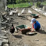 Quinta Da Mata - Turismo De Habitacao