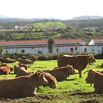 Quinta De Moledos
