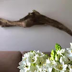 Casa Do O