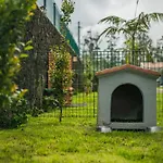 Parrots\'Village