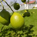 Crals - Casa Da Guilheta