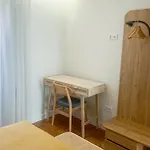 Wakeup - Sao Francisco