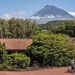 Alma Do Pico - Nature Residence