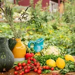 Yeotown Health Retreat