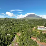 PicoTerrace