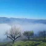 Casa Do Olival - Andar Moradia T2