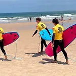 Surfness Lodge