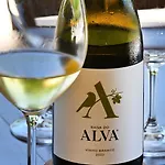 Quinta Da Aldeia Nova