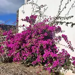 Casa Do Becco