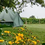 Quinta Da Teimosa