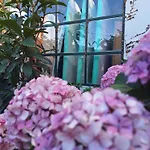 Natural Mystic Hostel