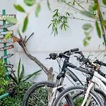 Natural Mystic Hostel