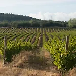 Tranca Da Barriga - Casa Do Vinho By Quinta De Sao Tiago