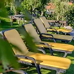 Paradise Farm With Pool And Jacuzzi In Douro