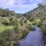 Aroma Das Tilias