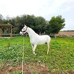 Herdade Moita Mar - Country & Sea