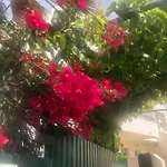 Apartamentos Debimar