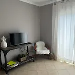 Cozy Apartment
