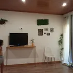 Suites Passadicos Do Paiva E Ponte Suspensa