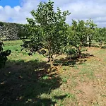 Quinta Do Norte