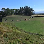 Quinta Do Norte