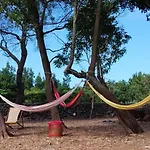 Quinta Dos Sentidos , Rustic Holiday Houses In Sao Vicente Ferreira