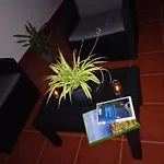 Casa 84