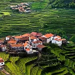 Casa Do Cacho