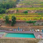 Quinta De Travassinhos- Douro Valley & Spa
