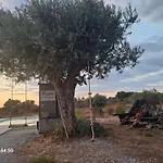 Monte Da Masmorra De Baixo-Casa Alentejana
