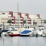 Vela Marina, Costa Nova