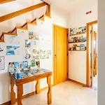 Rex Surf House