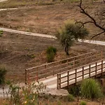 Teima, Alentejo Sw