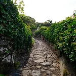 Aldeia Da Cuada