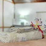 Luci\'S House