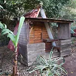 Banana Eco Camp