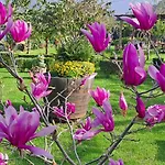 Granny\'S Farm