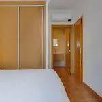 Casa Palmeira