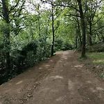 Quinta Mata Da Se