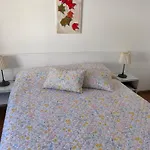 Gorgeous House
