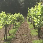 Quinta Da Quinta