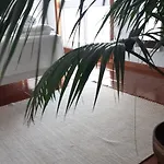 Sun & Sand Guesthouse