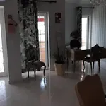 Flamingos Rio