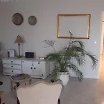 Flamingos Rio